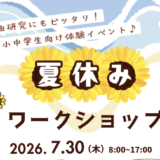 【ロボ団南魚沼校】自由研究にもぴったり！夏休みワークショップ開催のお知らせ！
